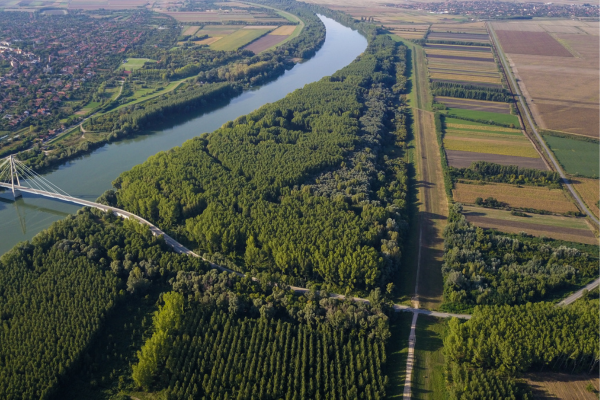 O Impacto da Agrofloresta nos Ecossistemas Aquáticos