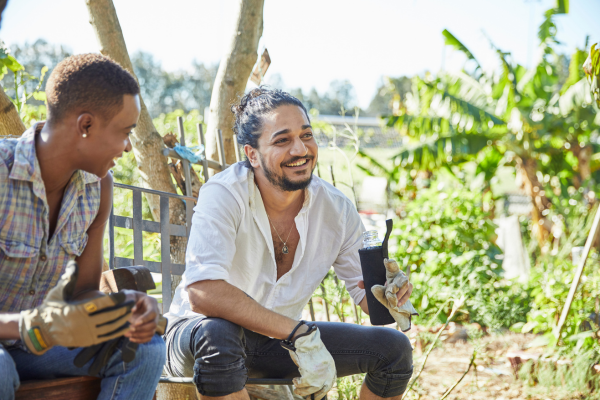 O Papel da Agrofloresta em Reduzir Desigualdades Sociais