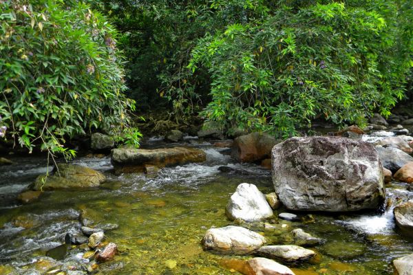 Preservação da Água: Como e Por Que Preservar o Líquido Mais Precioso do Planeta